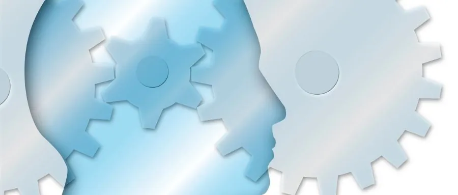 Pioneer scholars share advice on approaching the research process